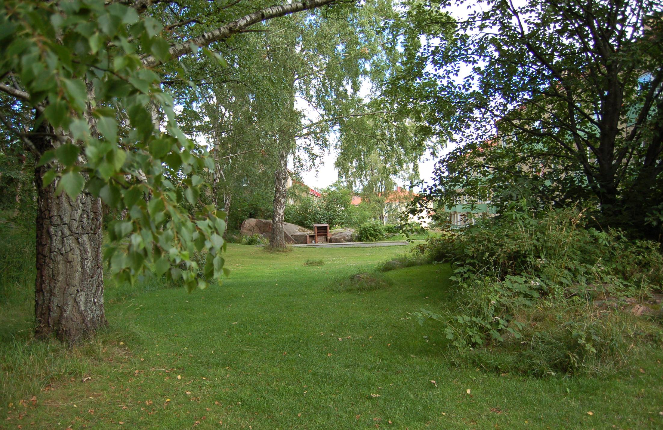 bakgård med mycket natur på toppsegelsgatan